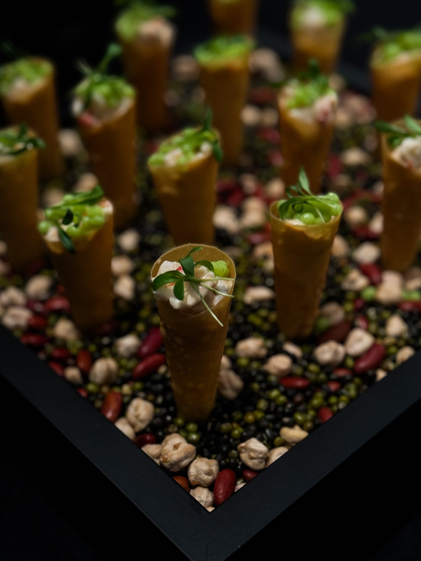 Vegan Experience by MonChef