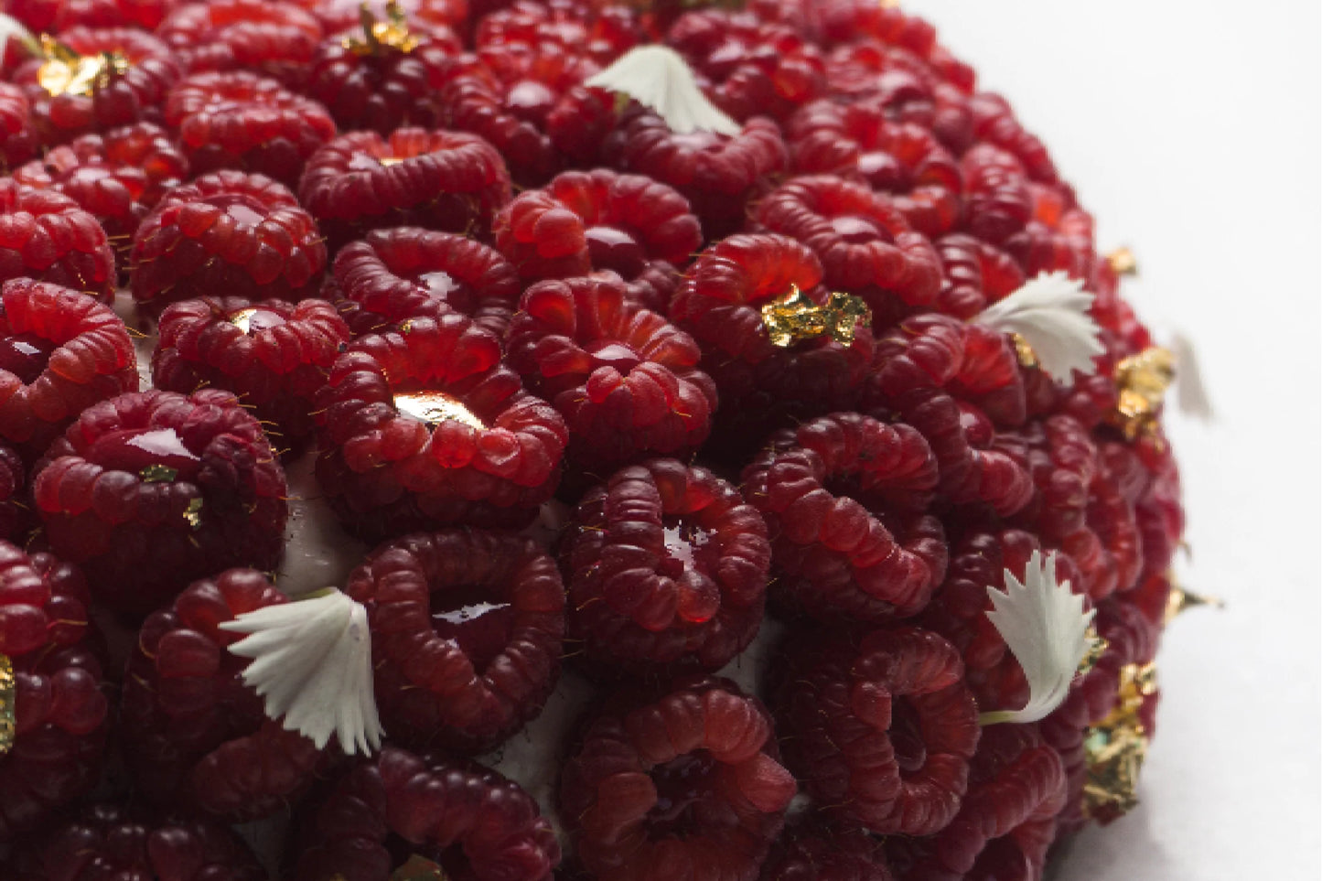 Framboisier by Ines Chatti